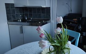 Guesthouse Golden Goose